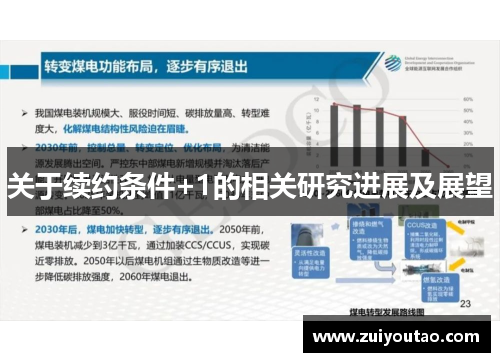 关于续约条件+1的相关研究进展及展望